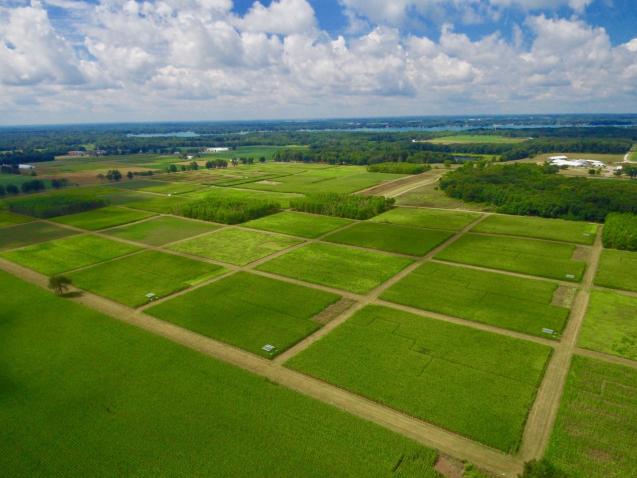 UK-Ukraine Agribusiness Webinar